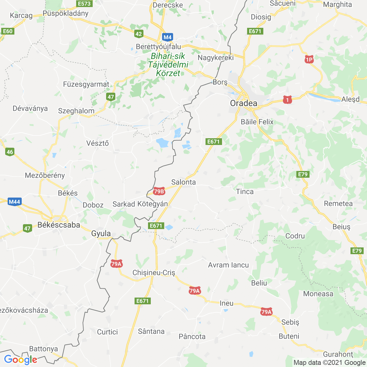 Municipiul Salonta