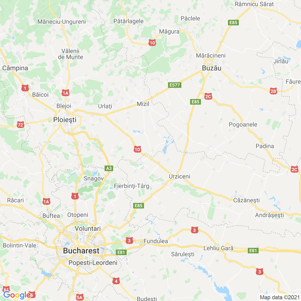 Comuna Sălciile
