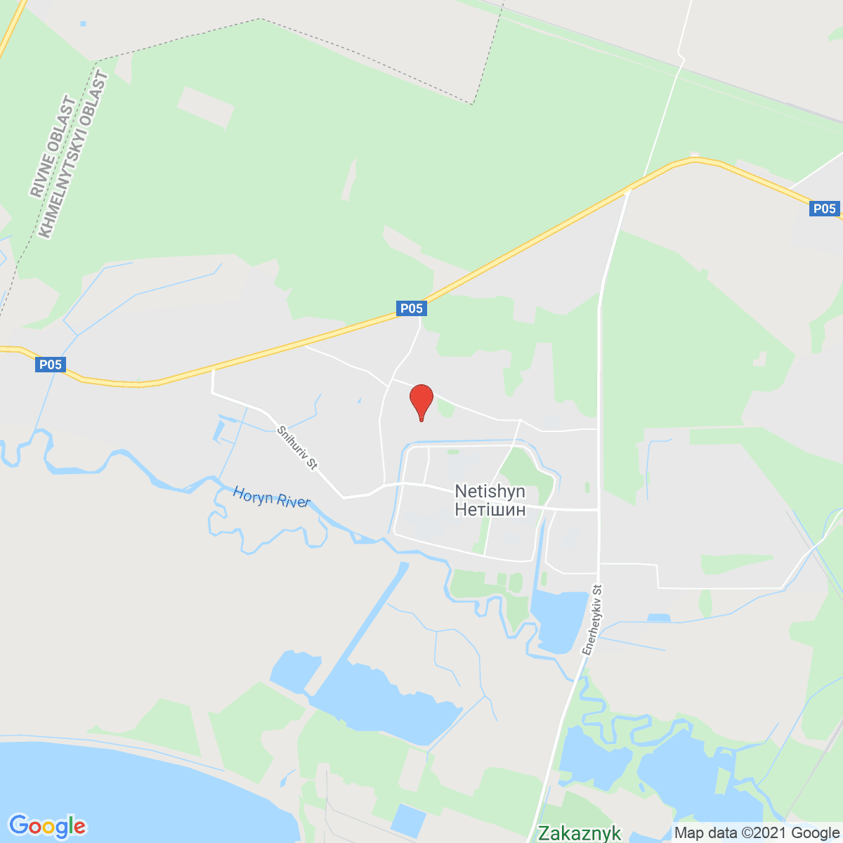 Netishyn
