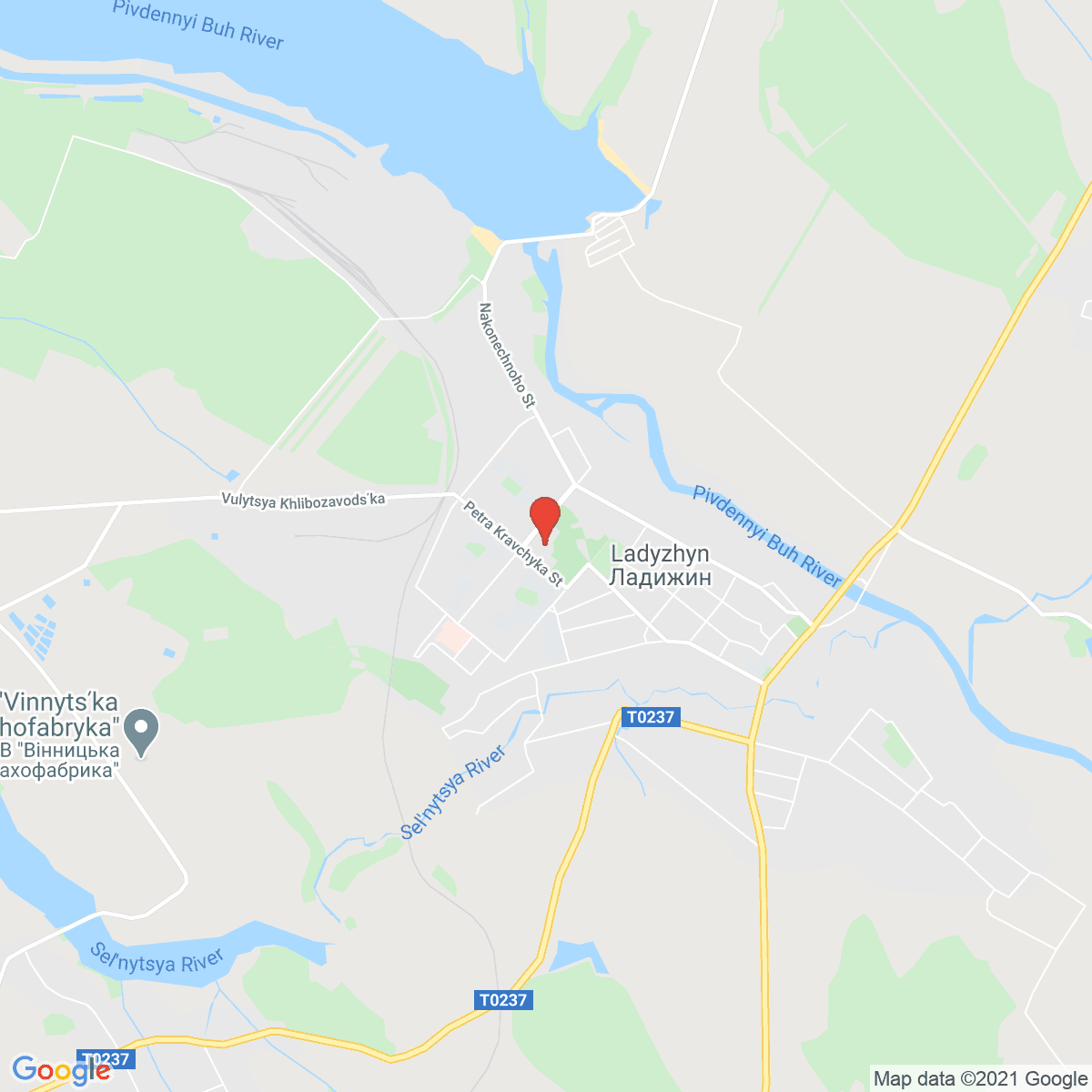 Ladyzhyn