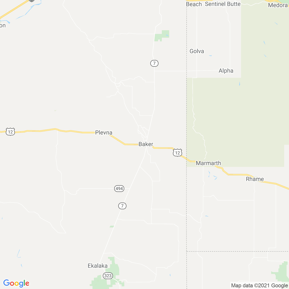 Fallon County