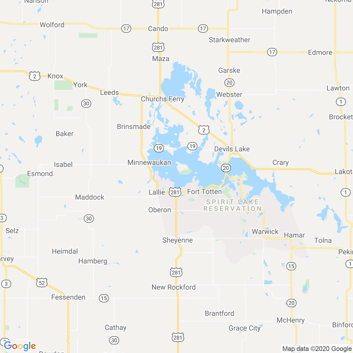 Benson County