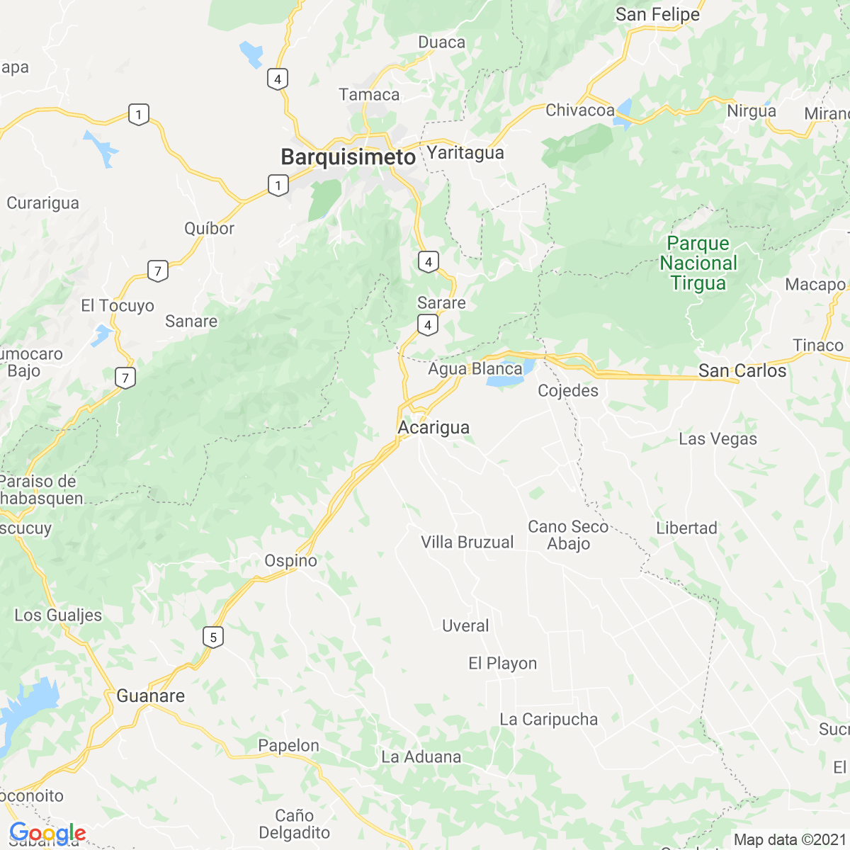 Municipio Páez