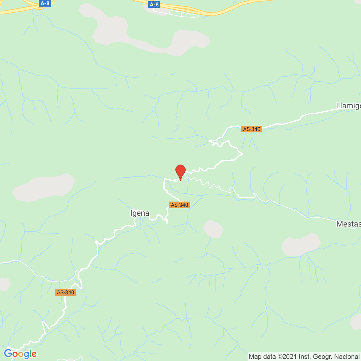 Riensena
