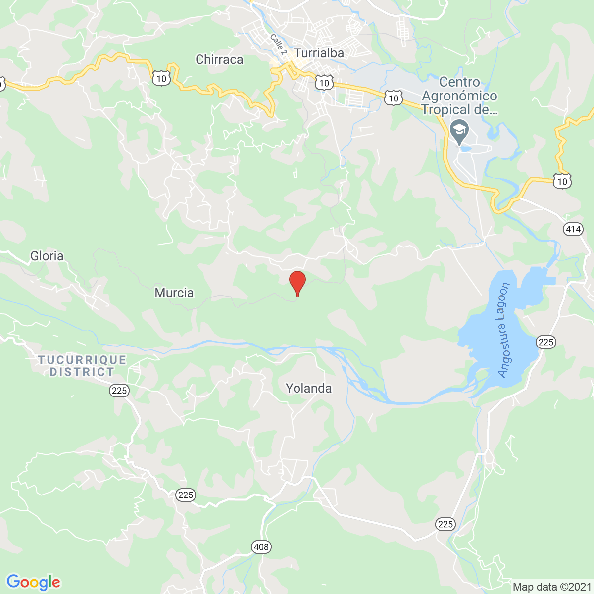 Pavas