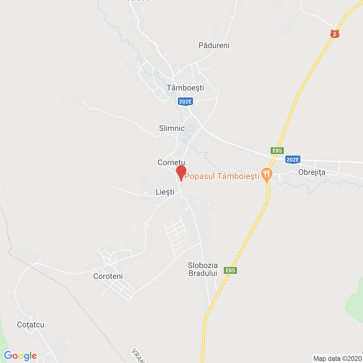 Liești