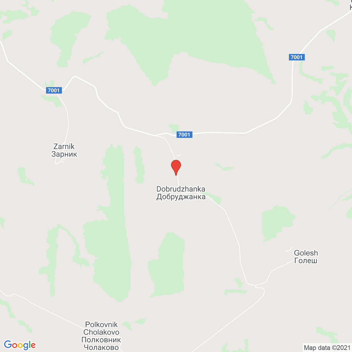 Dobrudzhanka