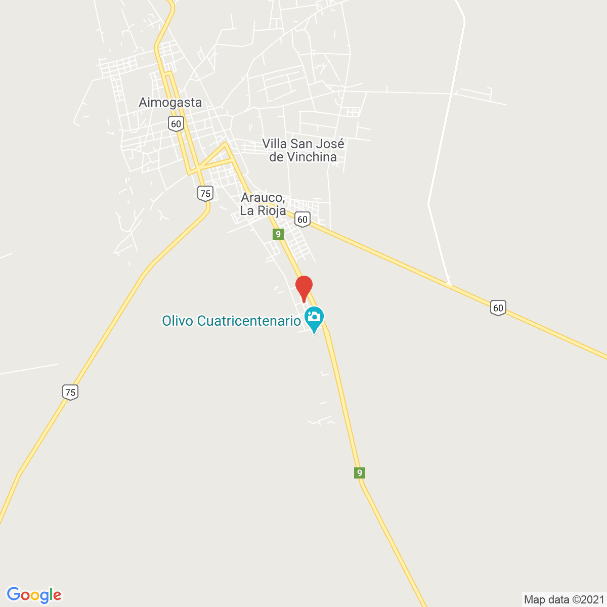 Arauco