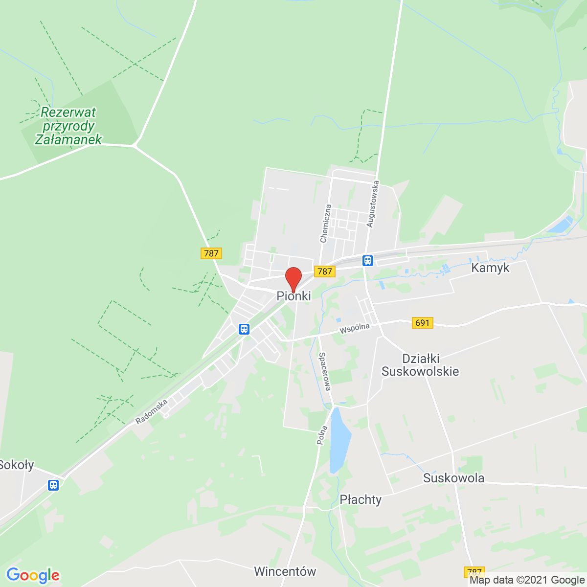 Pionki
