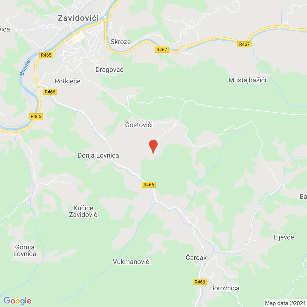 Gostovići