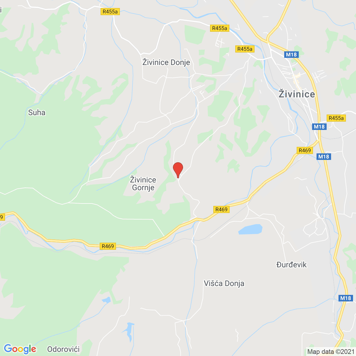 Gornje Živinice