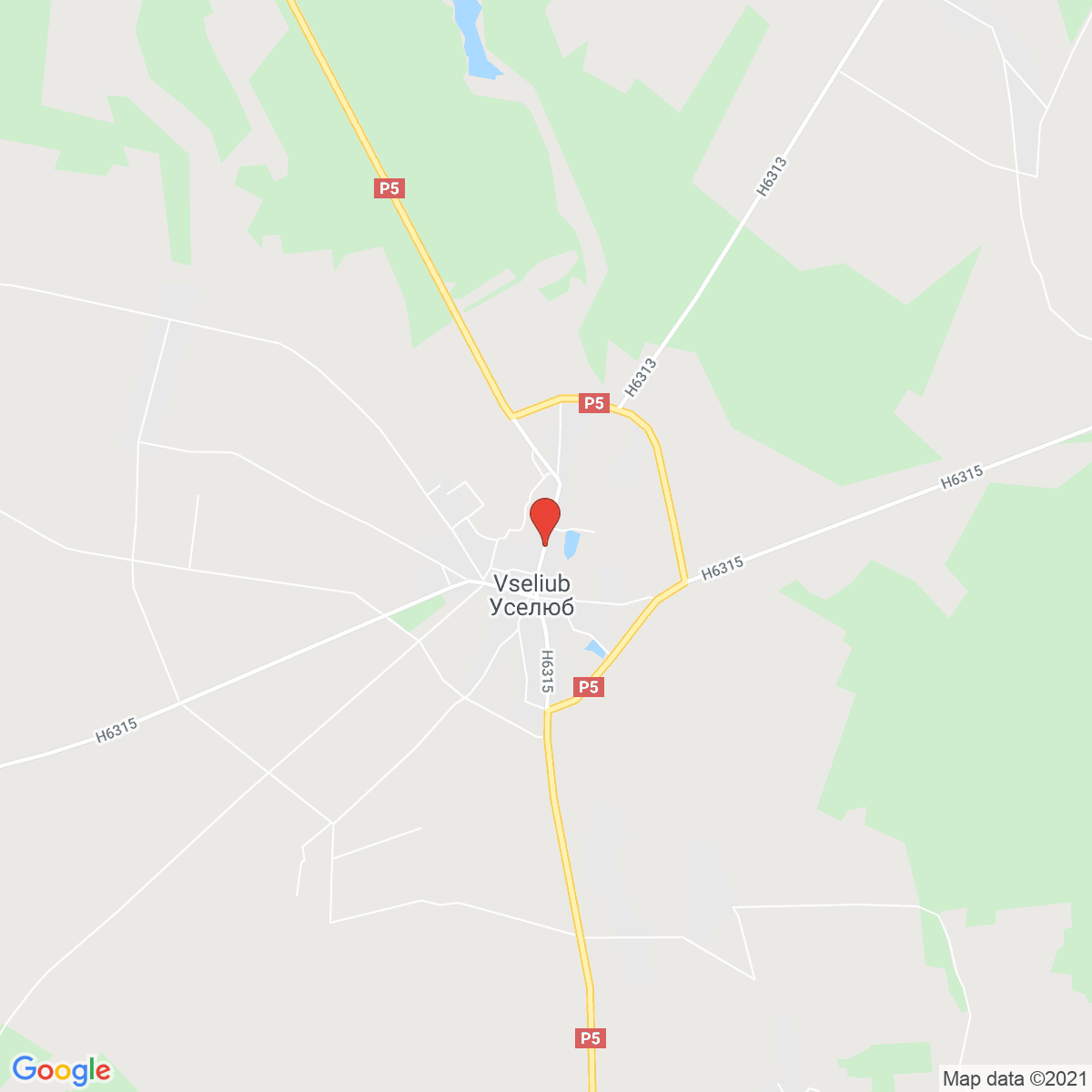 Vselyub