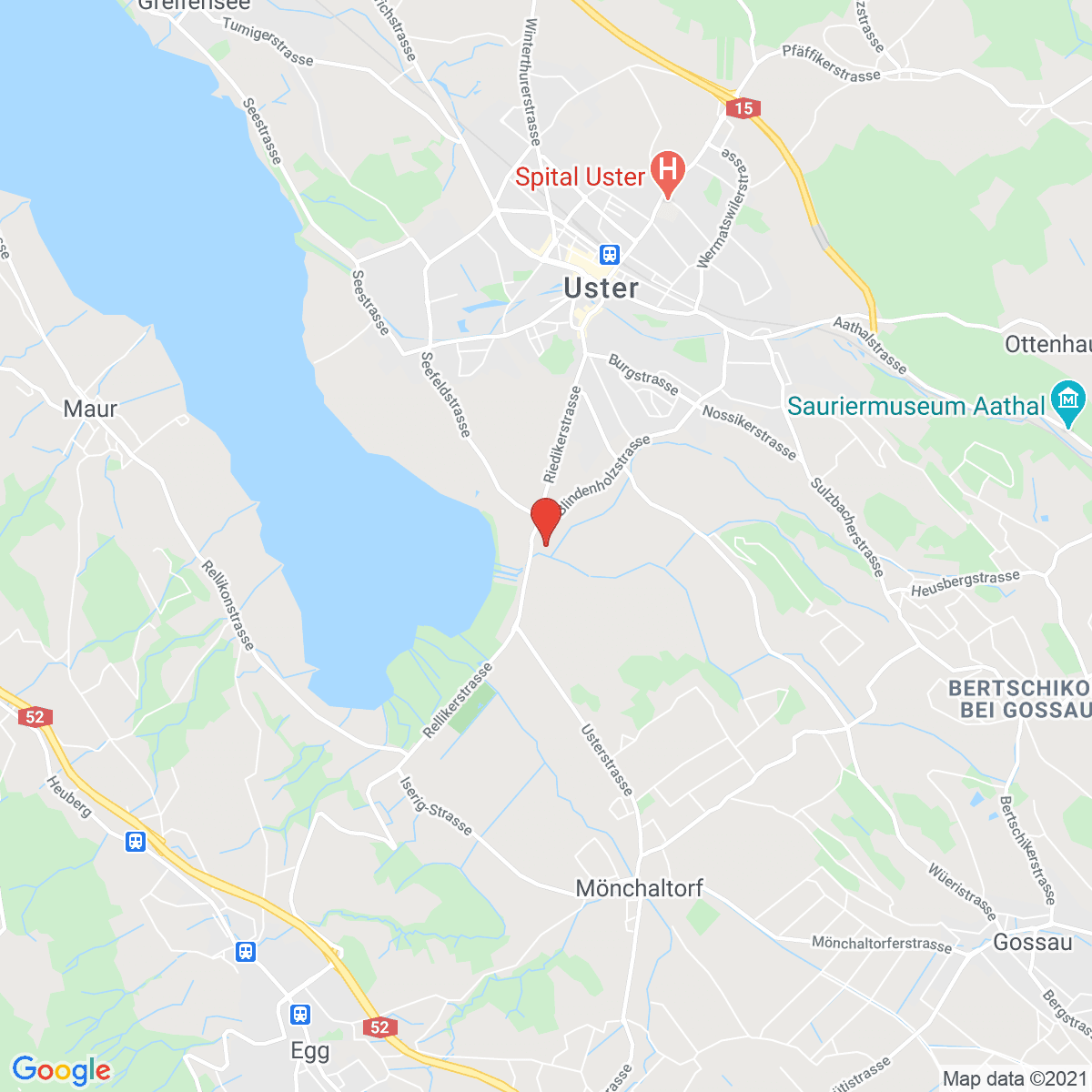 Riedikon