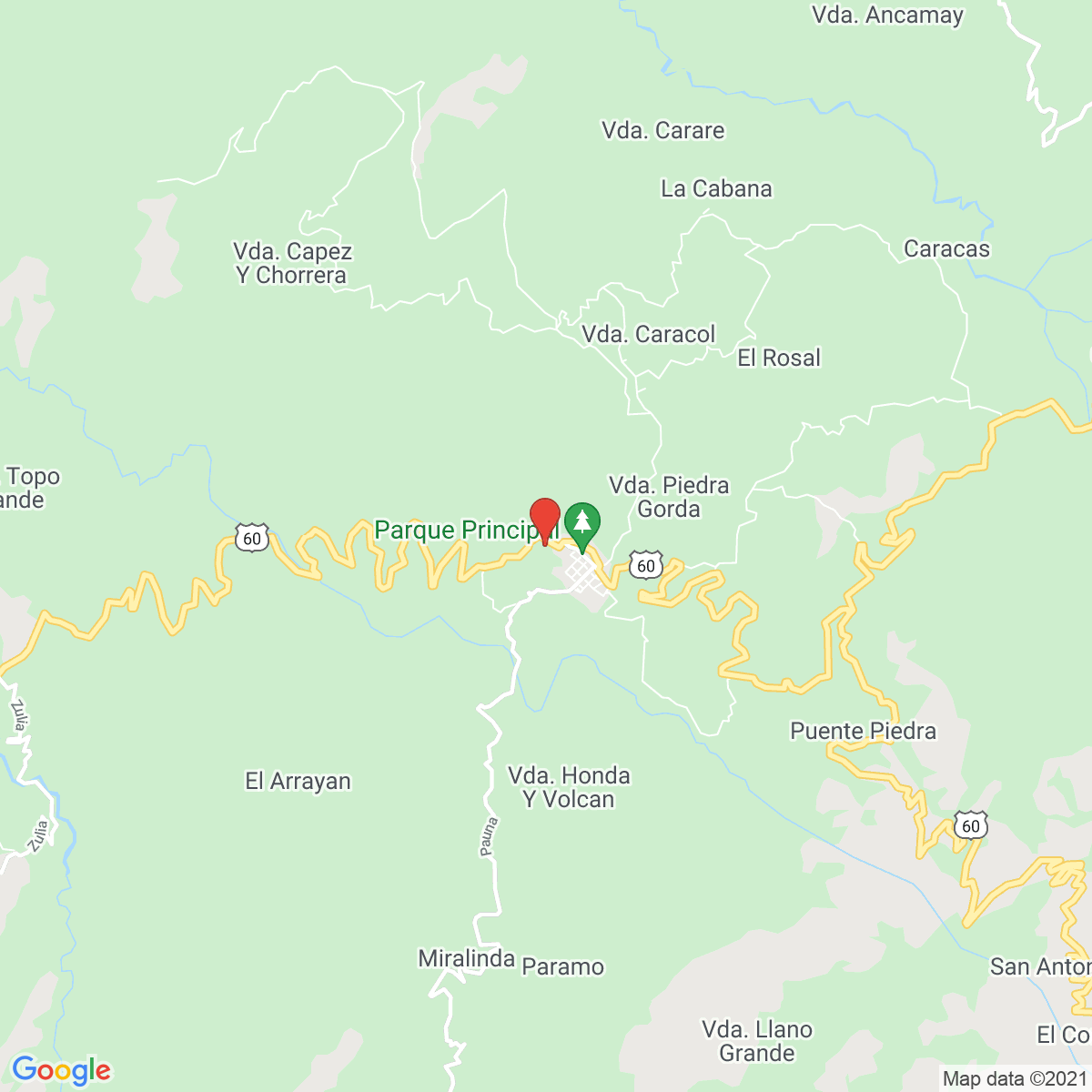 Pauna