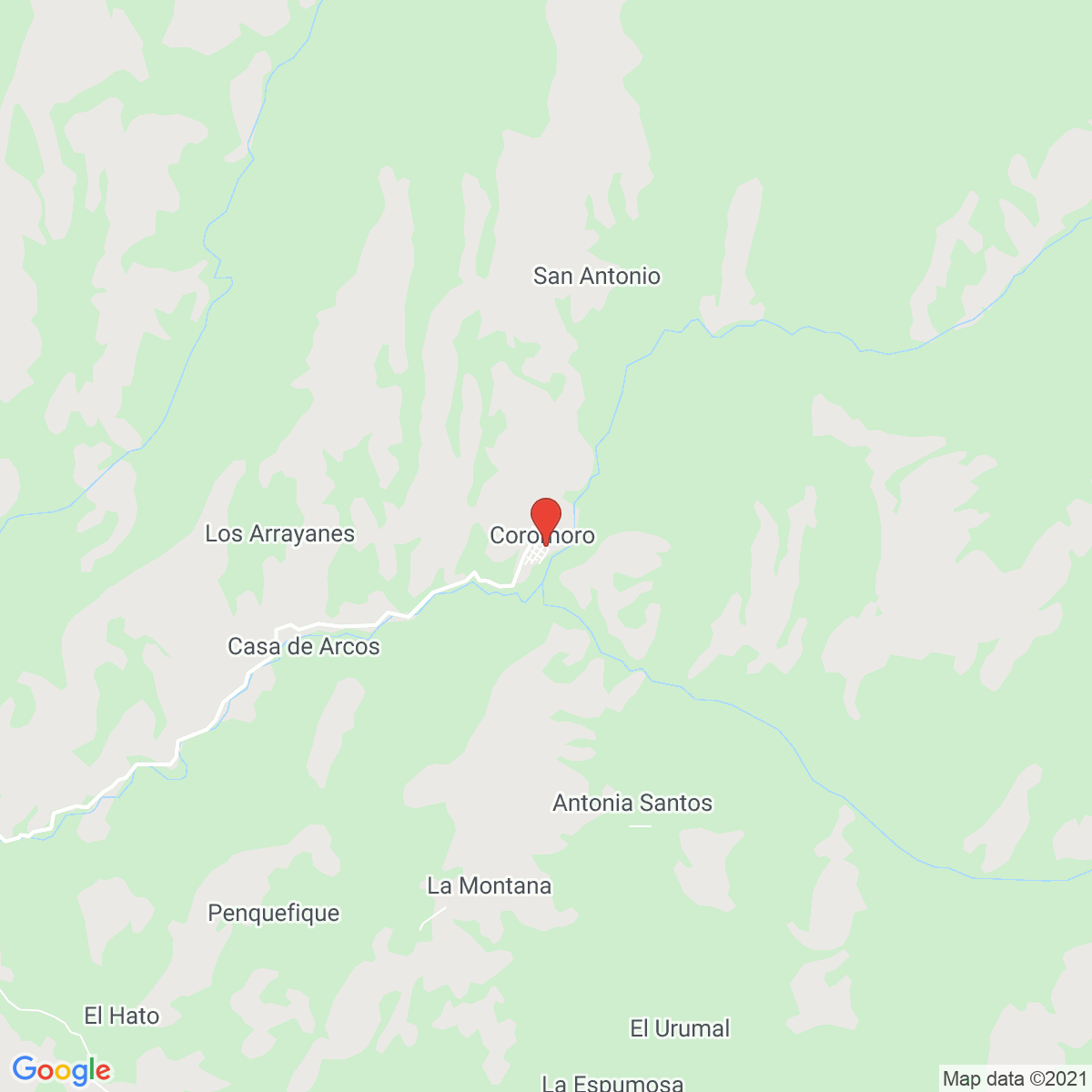Coromoro
