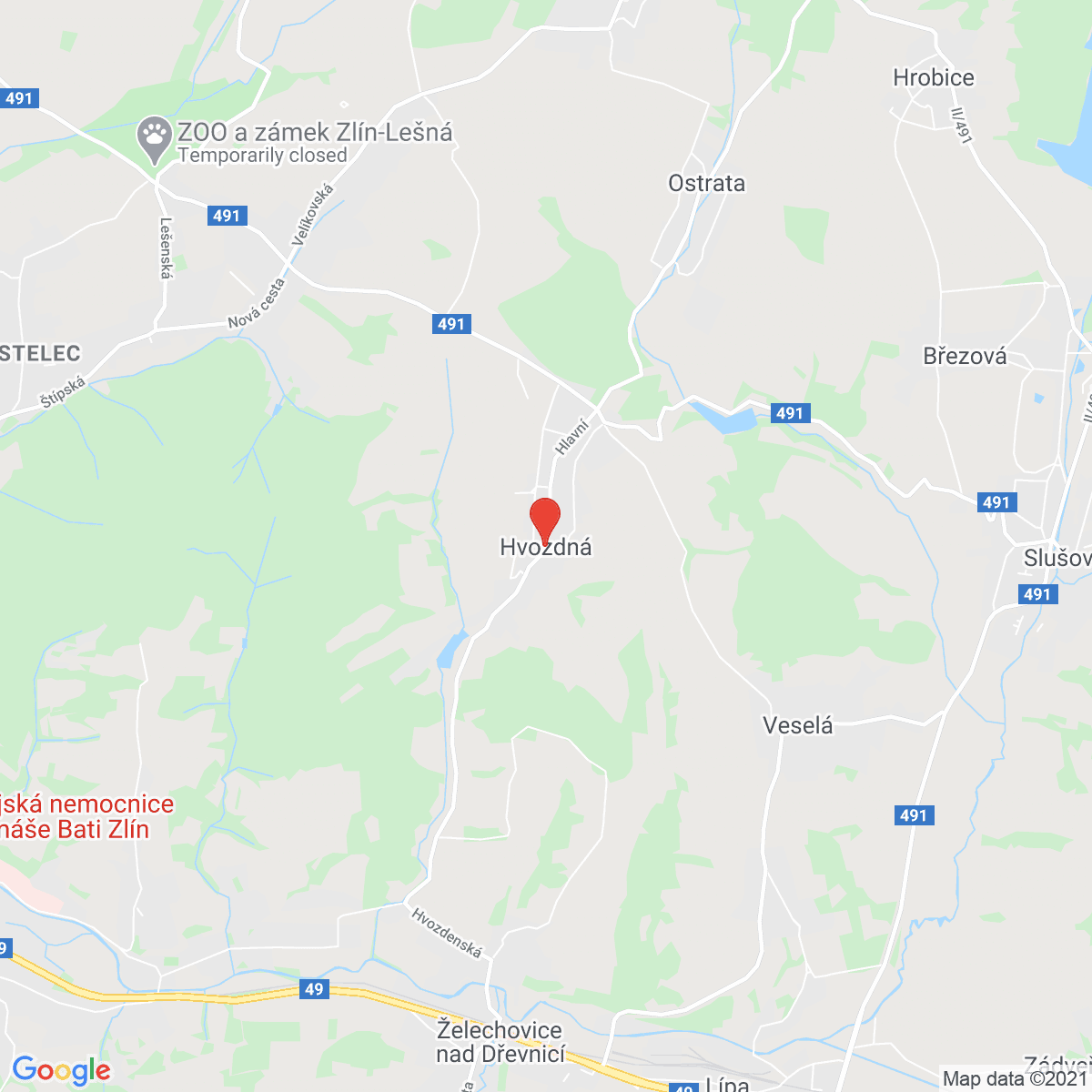 Hvozdná