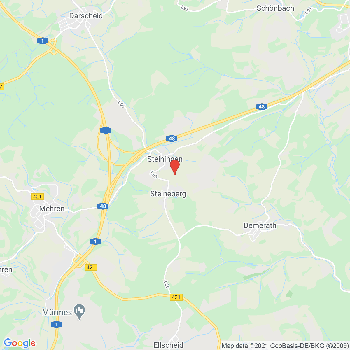 Steiningen