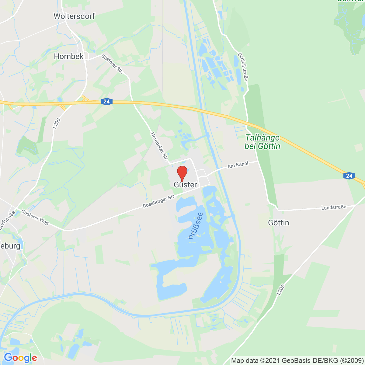 Güster