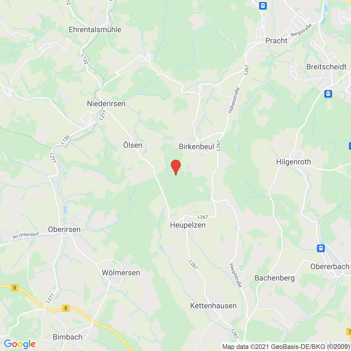 Birkenbeul