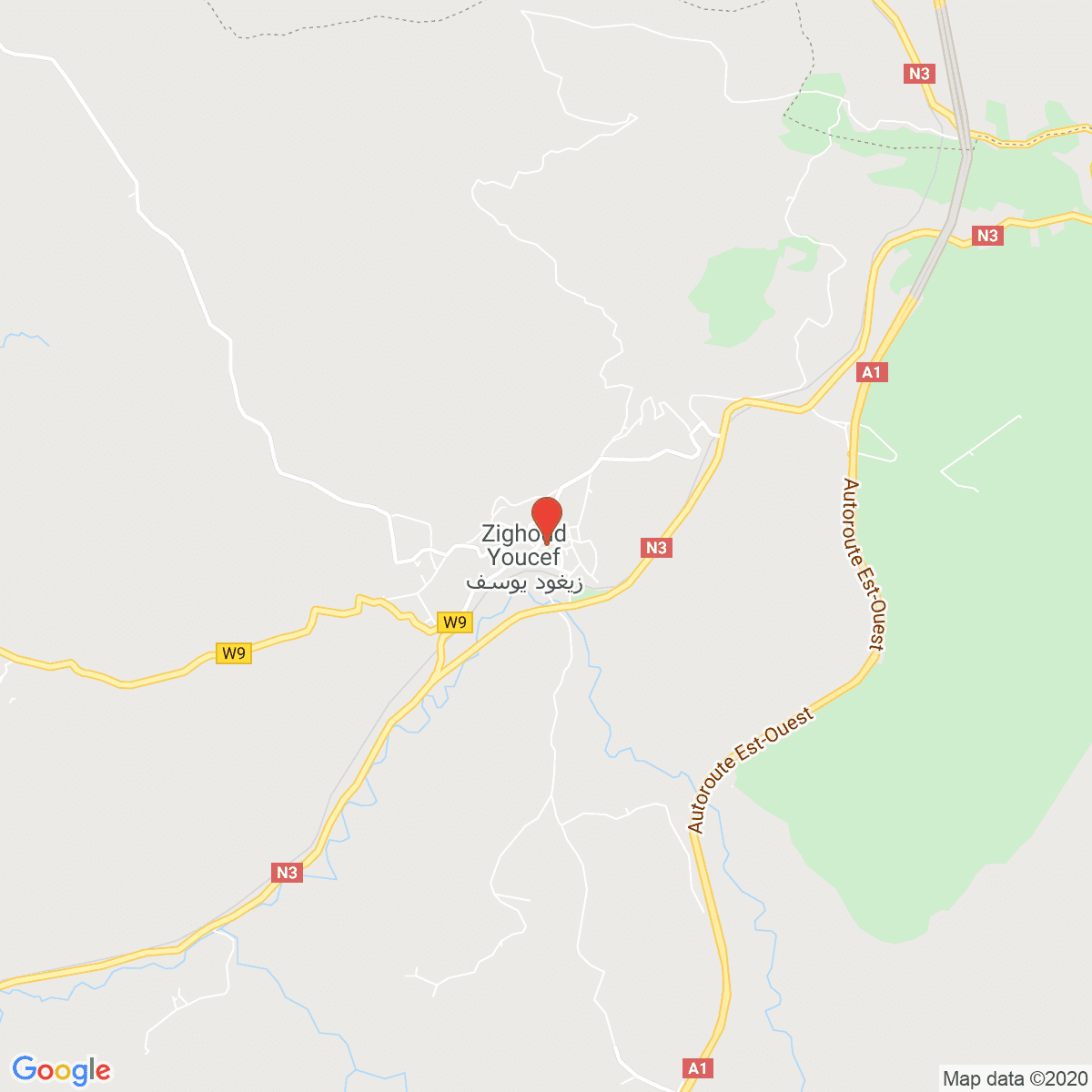 Zighout Youcef