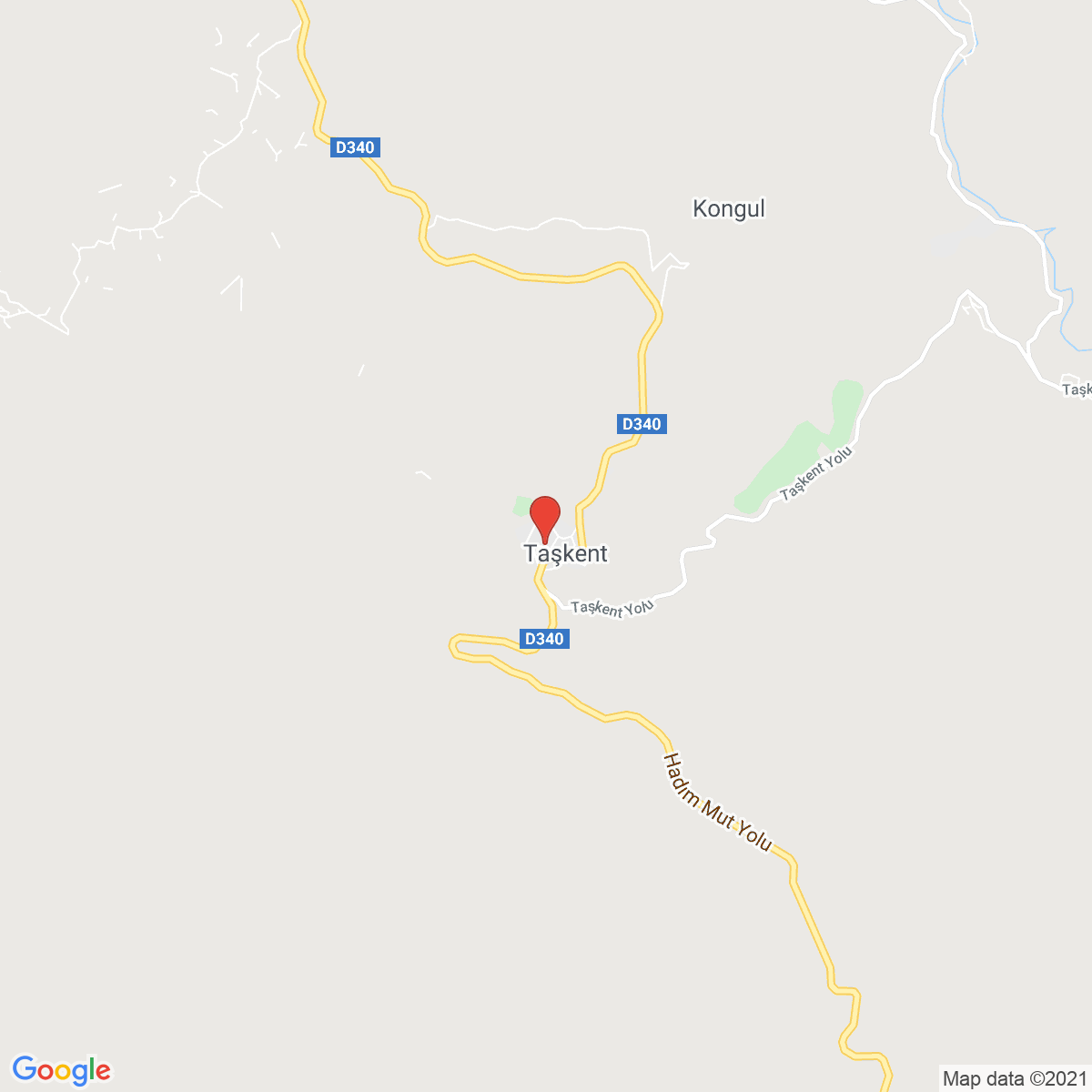 Taşkent