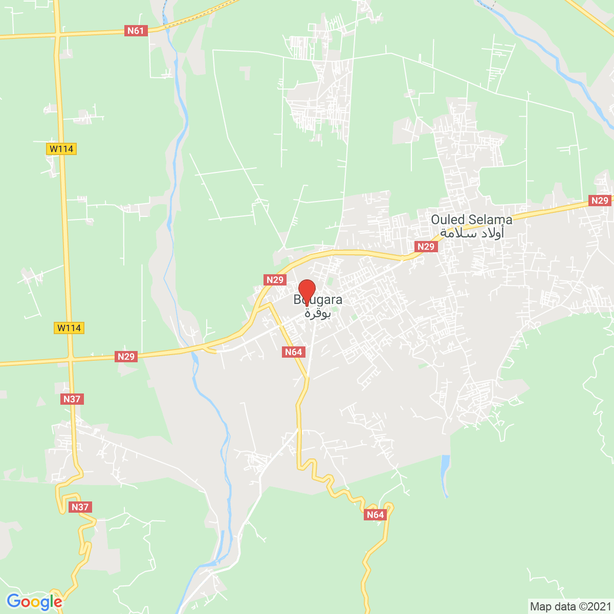 Bougara