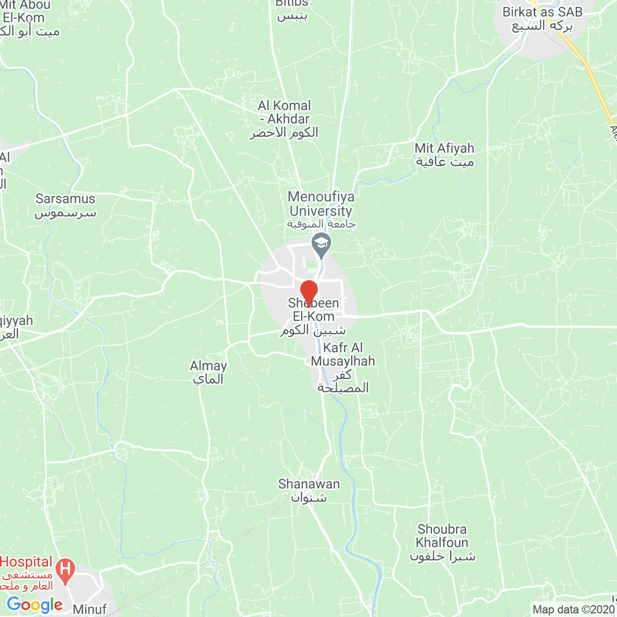 Shibīn al Kawm