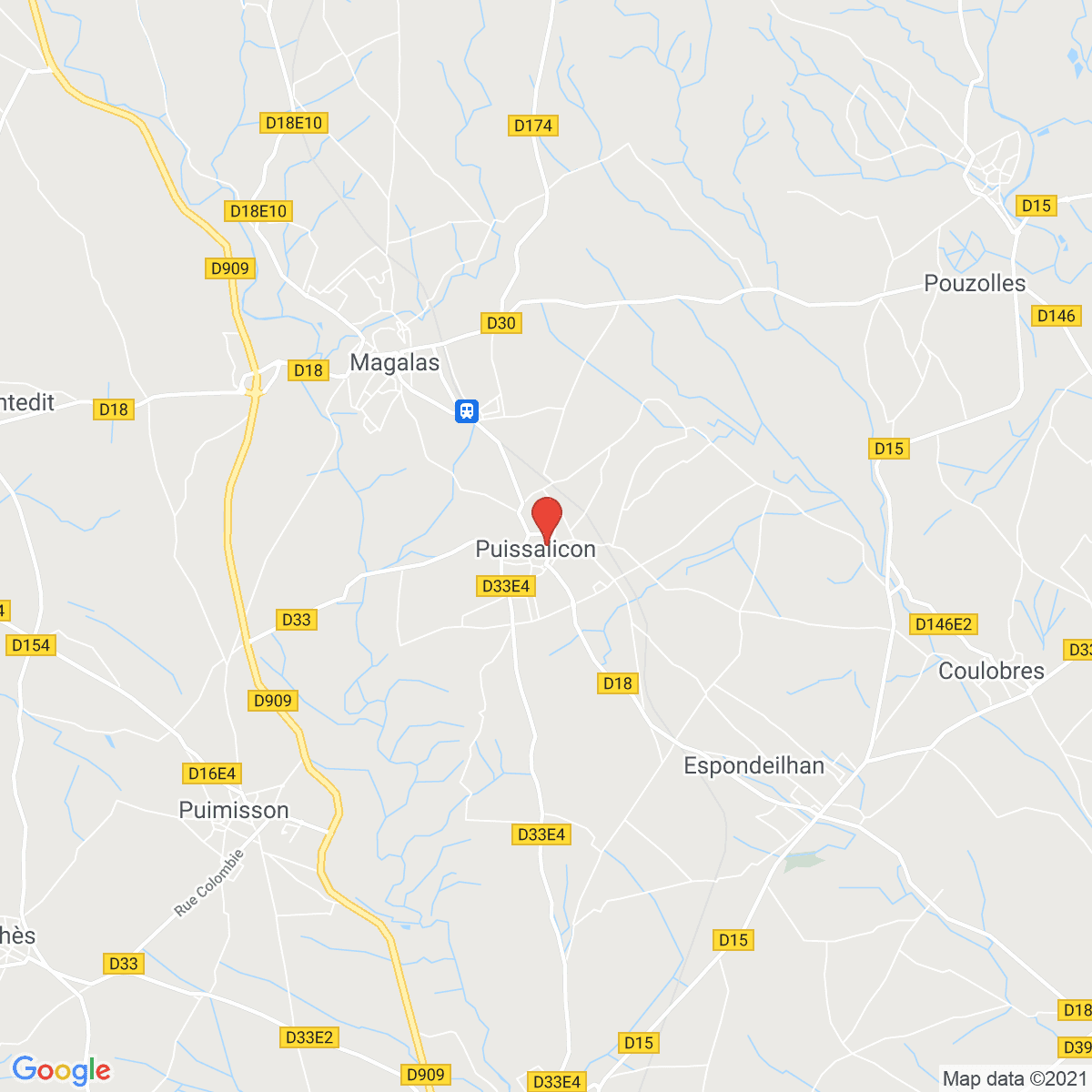 Puissalicon