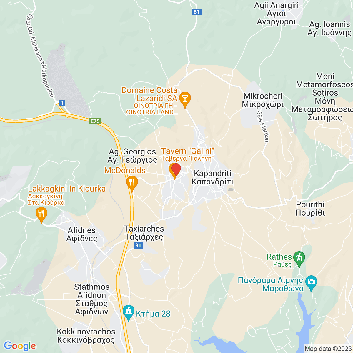 Polydéndri