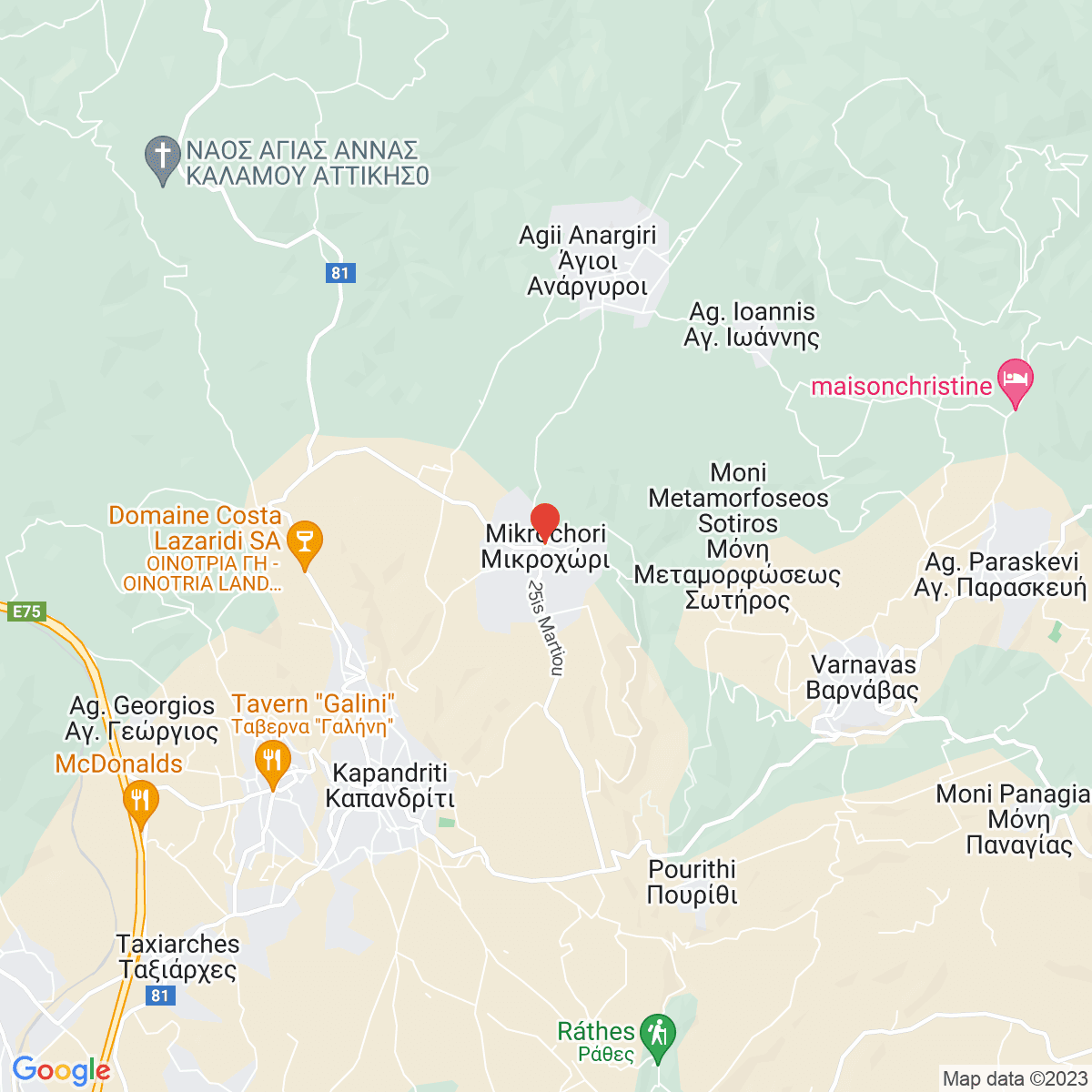 Mikrokhórion