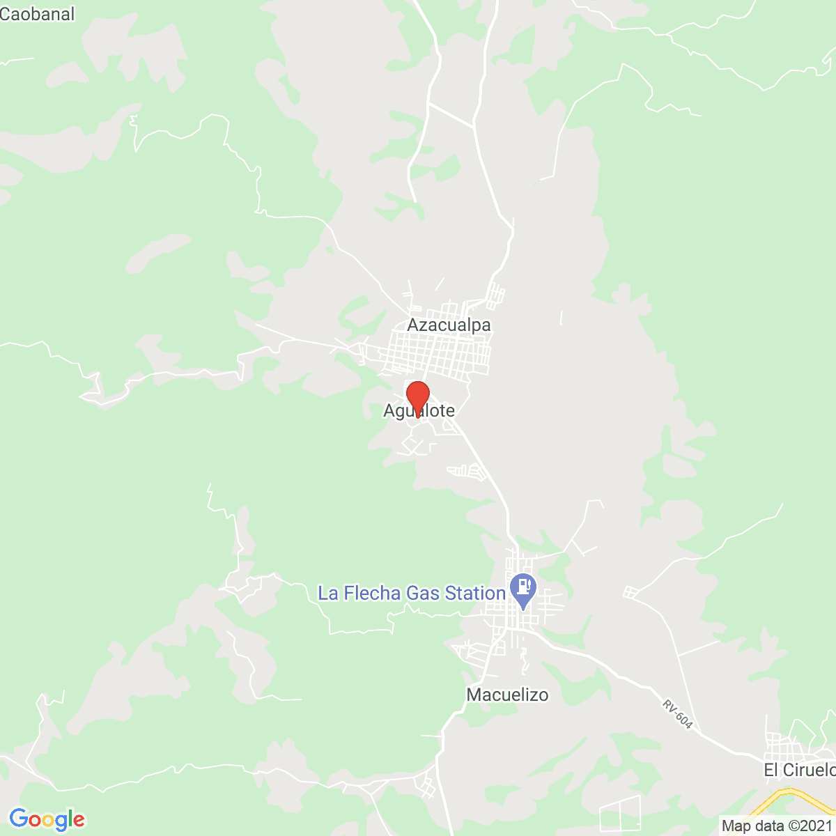 Agualote