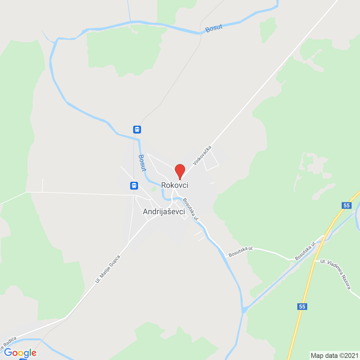 Rokovci