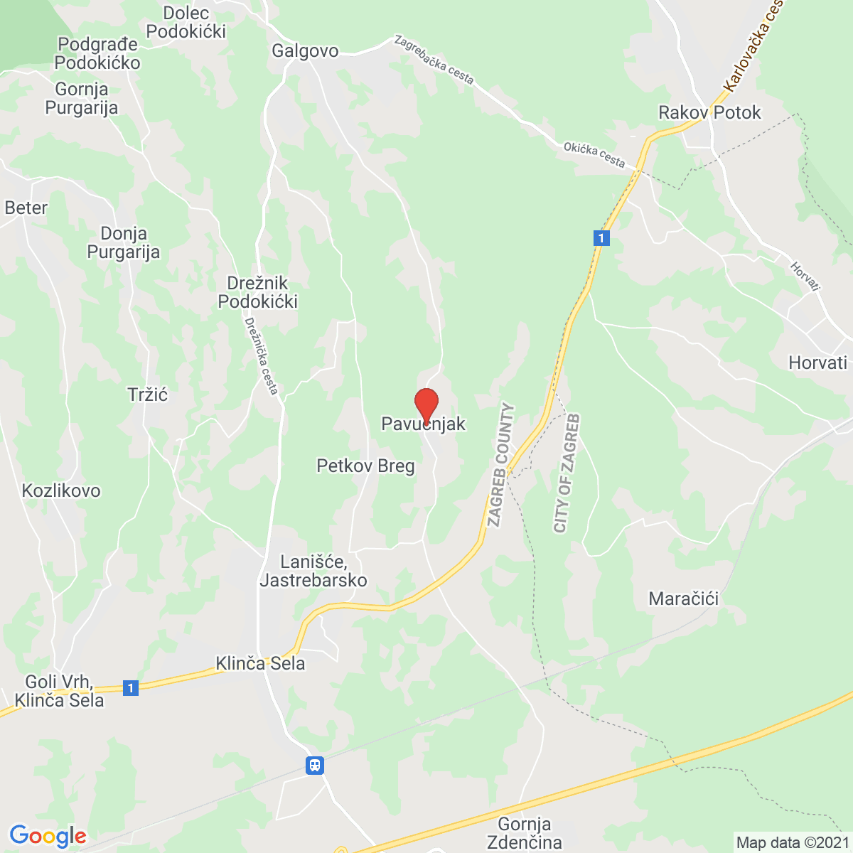 Pavučnjak