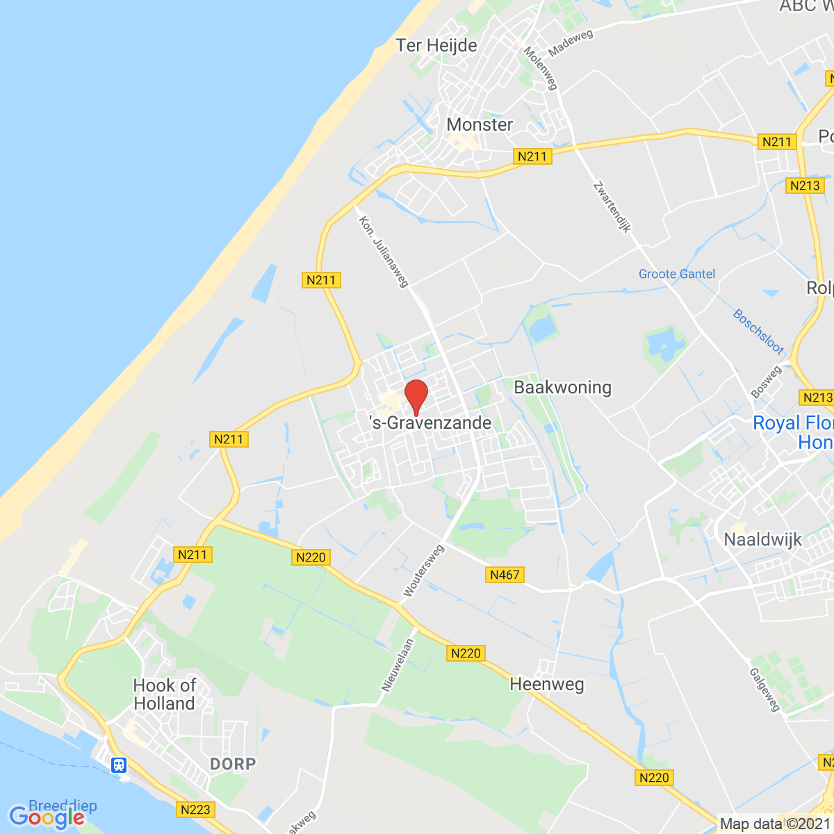 's-Gravenzande
