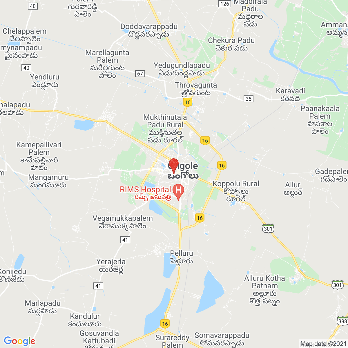 Ongole