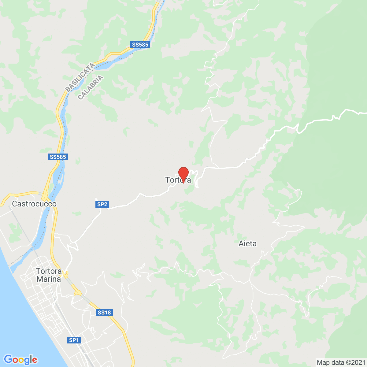 Tortora