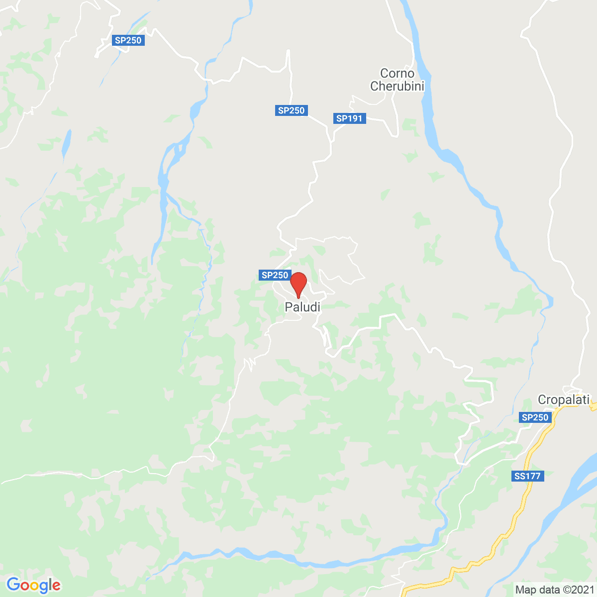 Paludi