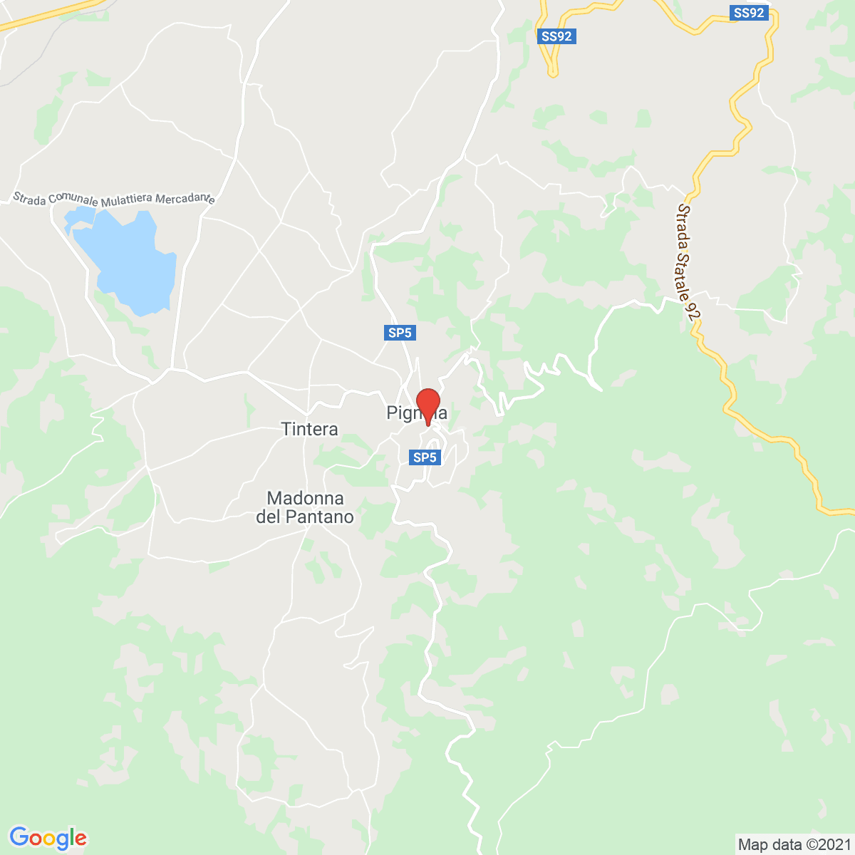 Pignola