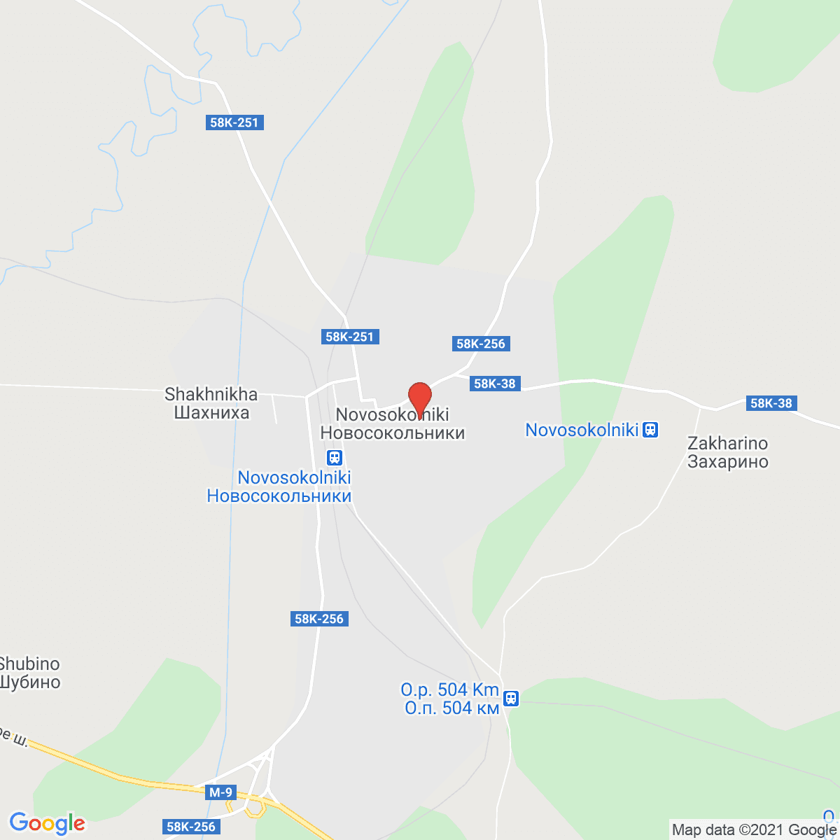 Novosokol’niki