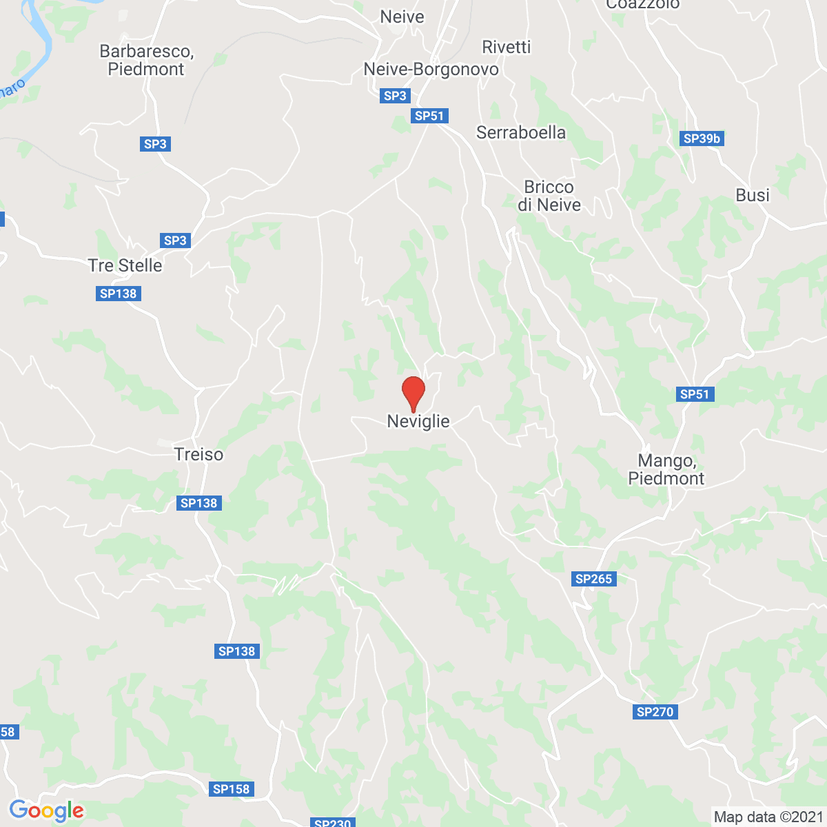 Neviglie