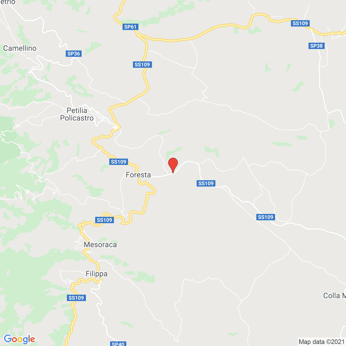 Foresta
