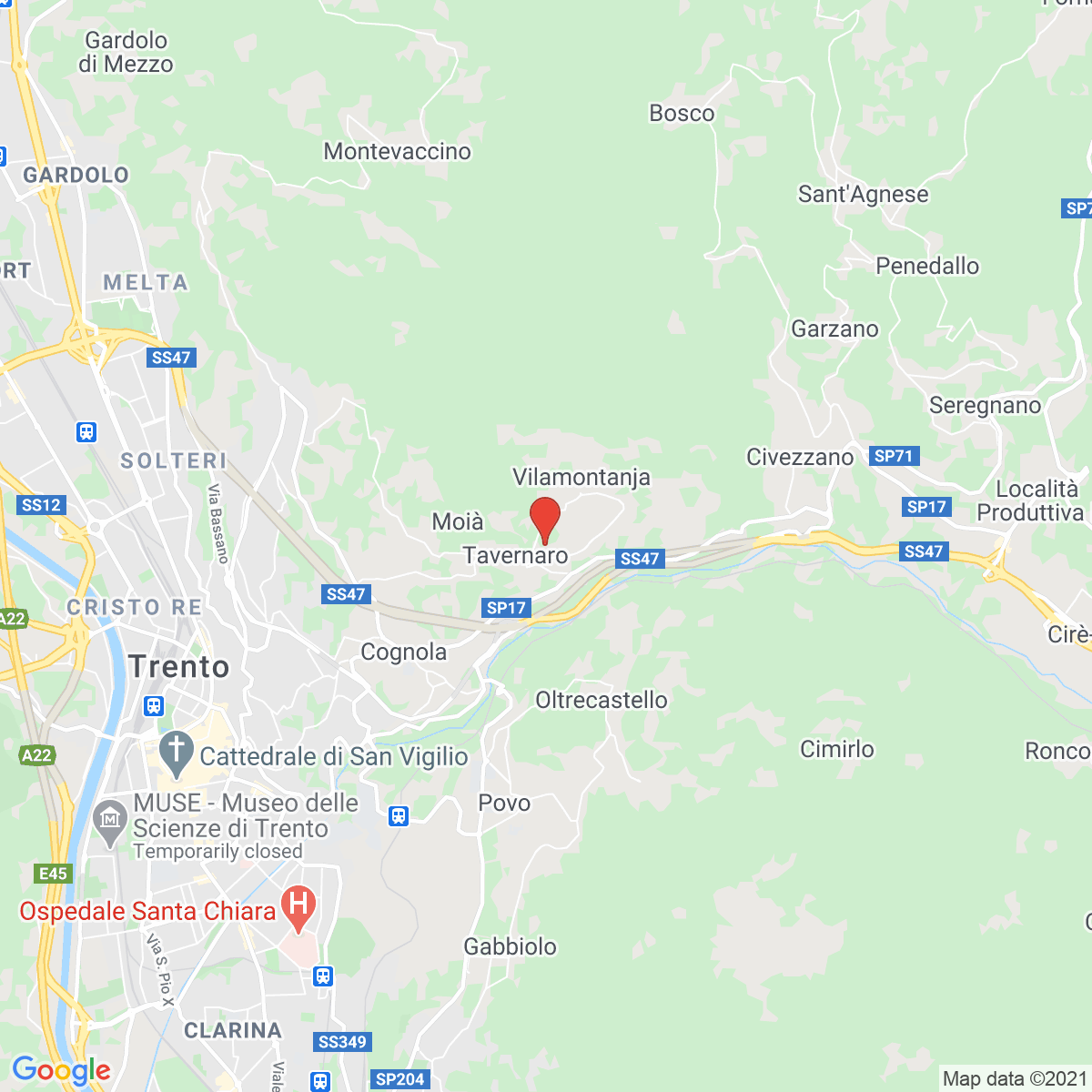 Tavernaro