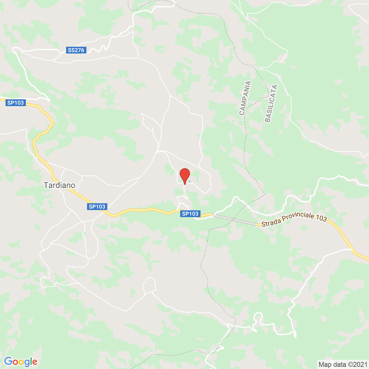 Cessuta