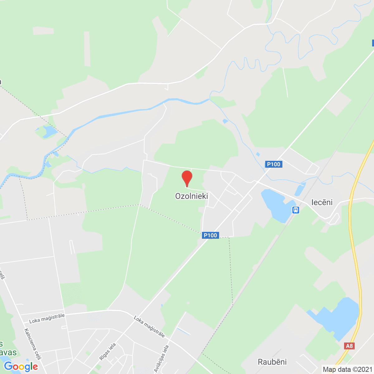 Ozolnieki