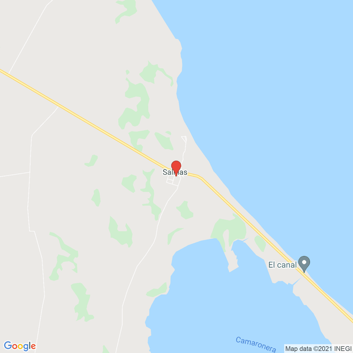 Salinas