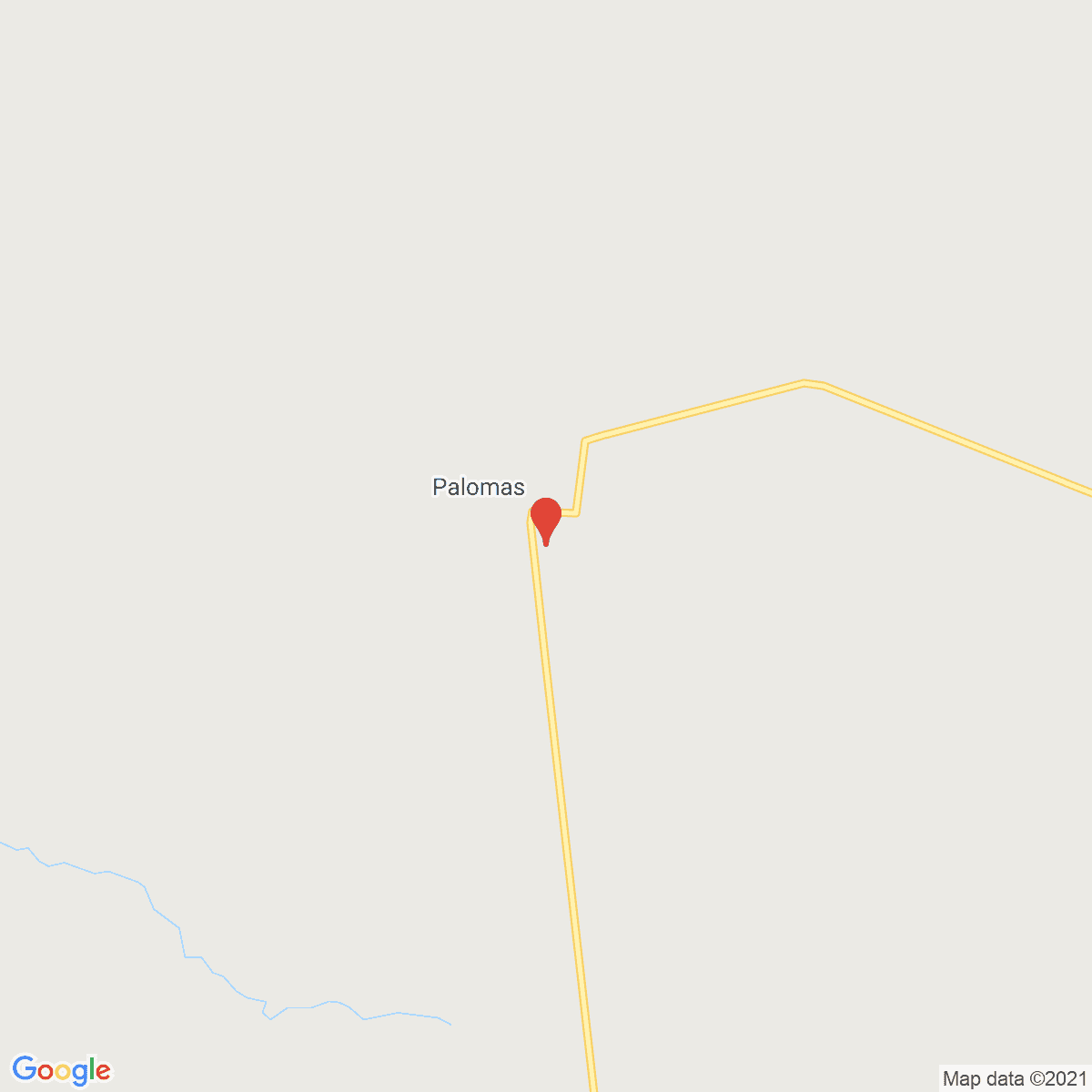 Palomas