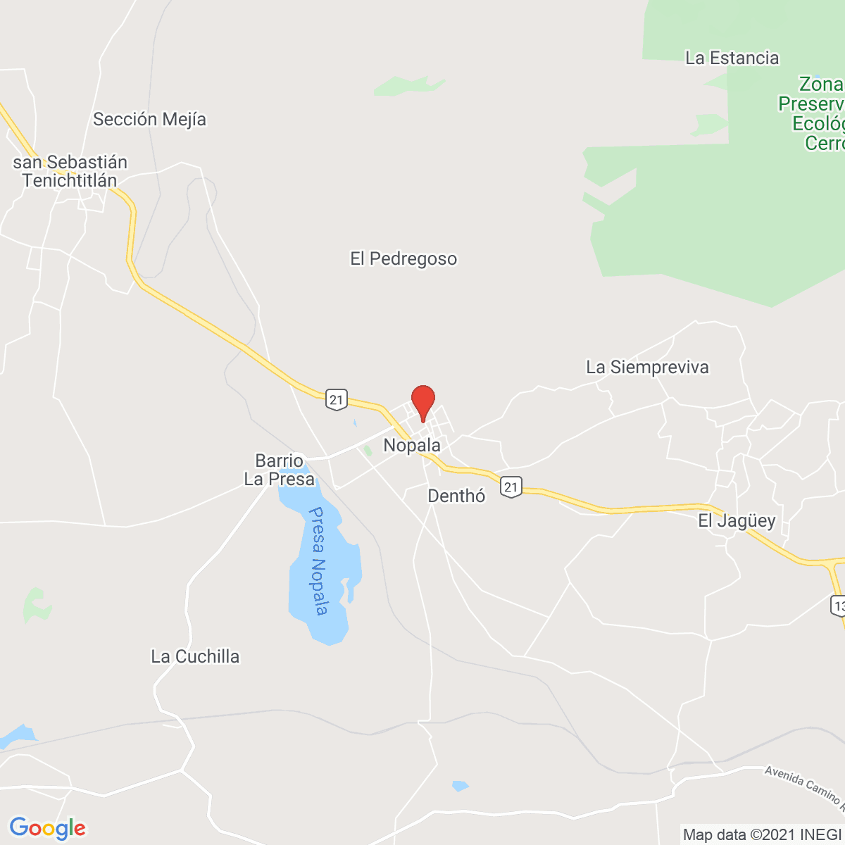 Nopala de Villagran