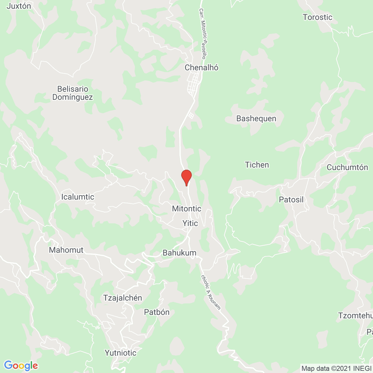 Mitontic