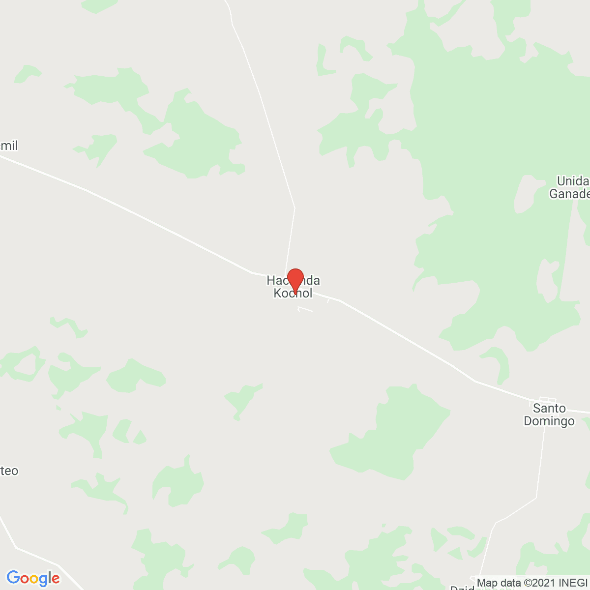 Kochol