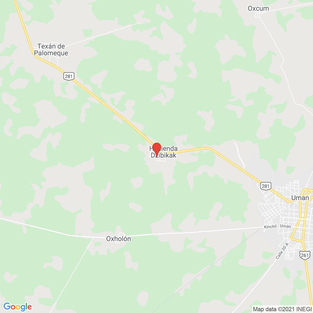 Dzibikak
